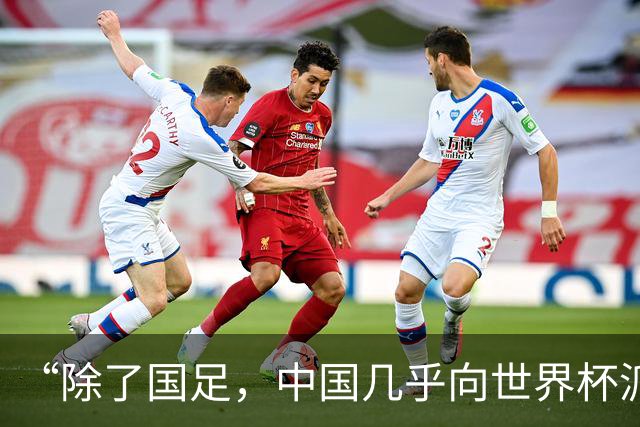 “除了国足，中国几乎向世界杯派去了一切”