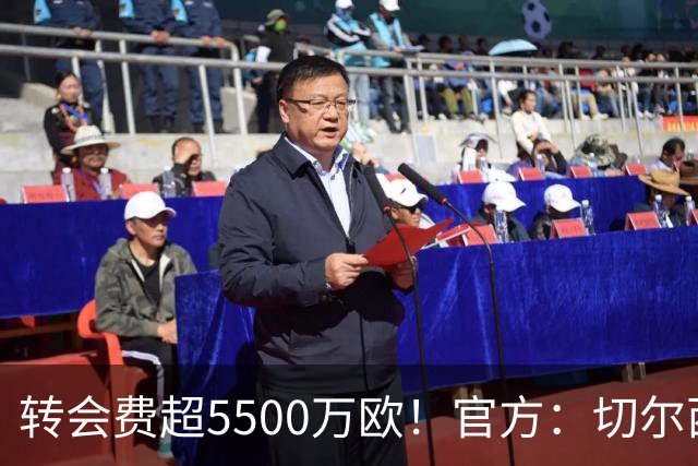转会费超5500万欧！官方：切尔西签下21岁帕莱斯特拉，签约7年